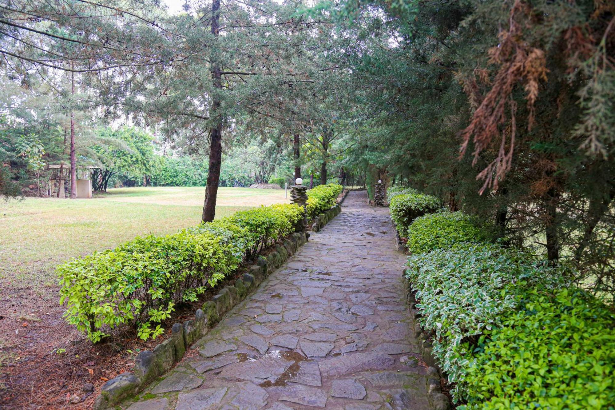 Naivasha Peppercorn Holiday Resort Ngoại thất bức ảnh